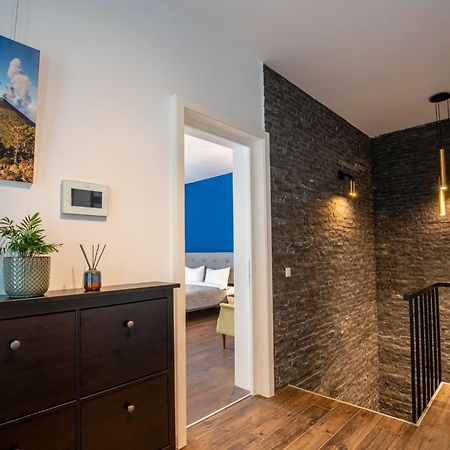 E-House Apartment Brasov Noua 外观 照片