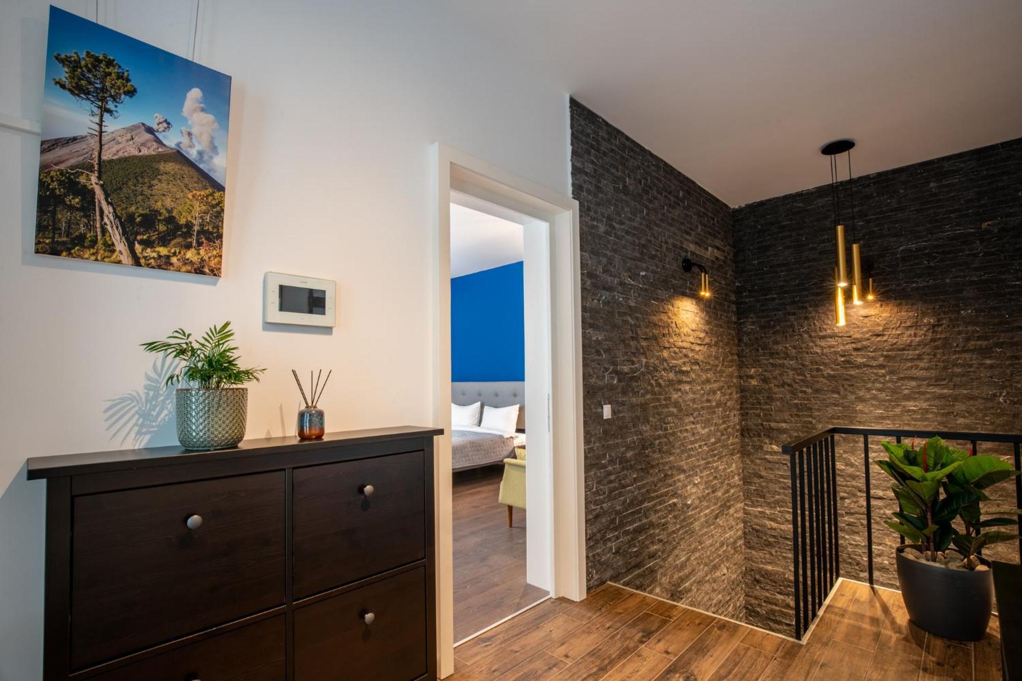 E-House Apartment Brasov Noua 外观 照片