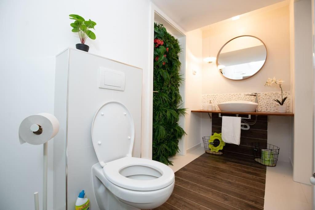 E-House Apartment Brasov Noua 外观 照片